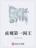 贞观第一闲王
