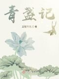 青盏记