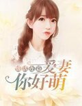情话连篇：爱妻你好萌