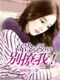 高冷boss别撩我！