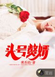 头号赘婿