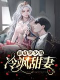 霸道擎少的冷飒甜妻战夜擎
