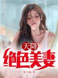 天降绝色美妻