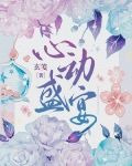 心动盛宴