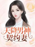 天降男神契约妻唐慕橙厉南衍